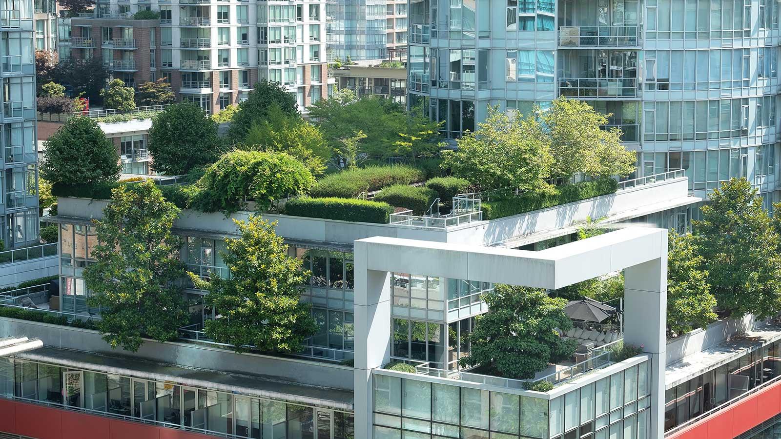 esball国际平台客户端代表环境健康科学项目的城市建筑顶部的树木和绿色植物